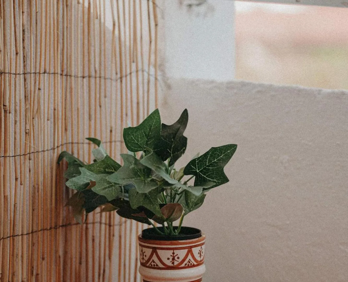 Ti Studio Boheme Le Gosier  Apartment